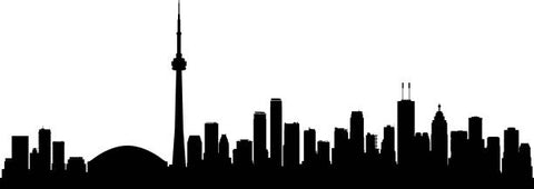 Exploring Online Options and Toronto Comic Stores