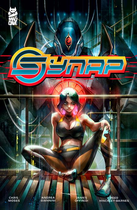 Synap TP #1 (2025)