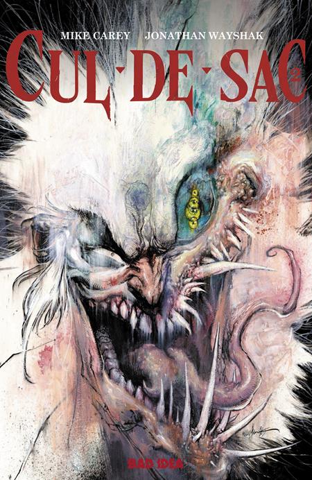 Cul-De-Sac 2 Comic Jonathan Wayshak Regular Bad Idea 2025