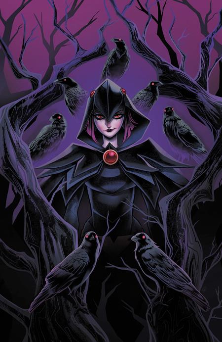 DCS QUOTH THE RAVEN WHATEVER #1 (ONE SHOT) CVR A SWEENEY BOO DC Comics Various Various Sweeney Boo PREORDER