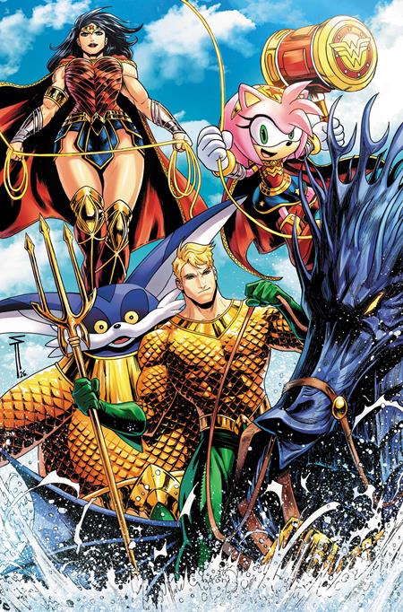 DC X SONIC THE HEDGEHOG METAL LEGION #5 (OF 5) CVR C SERG ACUNA CARD STOCK VAR DC Comics Ian Flynn Pablo M. Collar Serg Acuna PREORDER