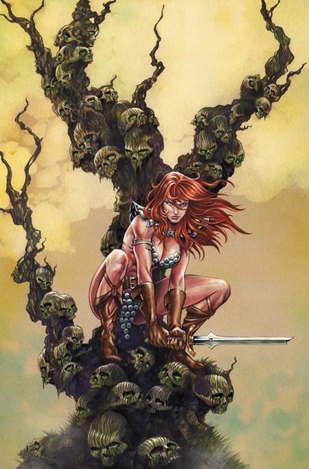 Red Sonja: She-Devil with a Sword 5 Comic Inc1:10 Mike Rooth Virgin Variant Dynamite Entertainment 2026