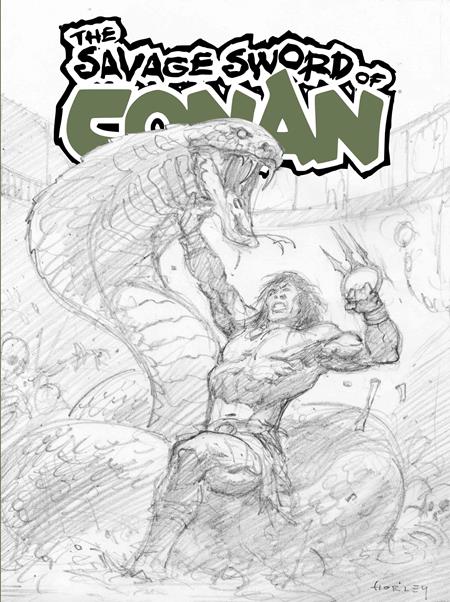 SAVAGE SWORD OF CONAN #15 SDCC EXCLUSIVE ALEX HORLEY CARDSTOCK INKS VAR (MR) Titan Comics Jimmy Palmiotti, Amanda Conner, Tom Defalco Andy Belanger, Ron Frenz, Pat Olliffe Alex Horley PREORDER