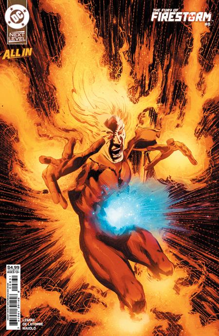 FURY OF FIRESTORM #8 (OF 9) CVR C MIKE PERKINS CARD STOCK VAR DC Comics Jeff Lemire Rafael de Latorre Mike Perkins PREORDER
