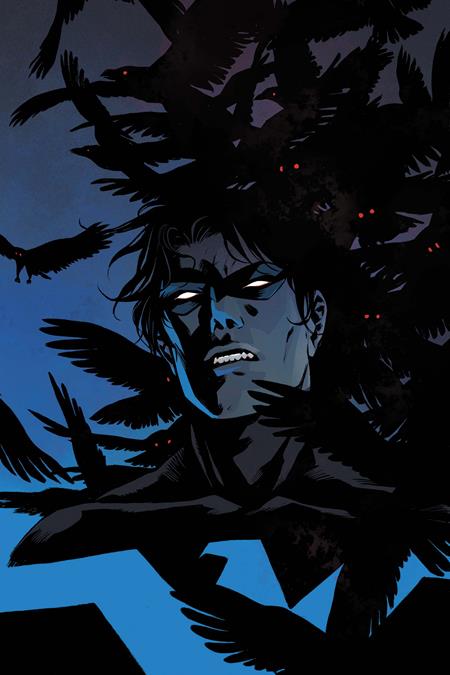NIGHTWING #144 CVR C BECKY CLOONAN CARD STOCK VAR DC Comics Dan Watters Denys Cowan Becky Cloonan PREORDER