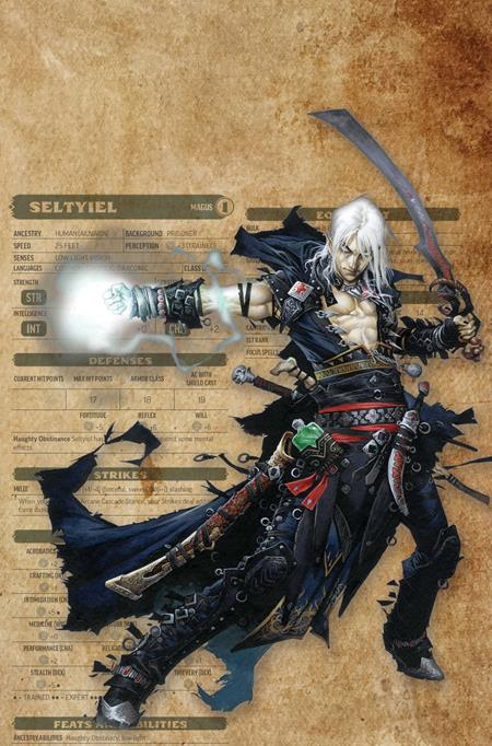 PATHFINDER VAMPIRELLA BLADE OF DARKNESS #3 CVR G INC 1:15 WAYNE REYNOLDS CHARACTER SHEET VIRGIN VAR DYNAMITE Entertainment Erik Burnham Federico Dallocchio Wayne Reynolds PREORDER
