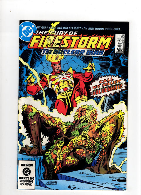 Firestorm, the Nuclear Man, Vol. 2 (1982-1990) #19 (1984) Buy & Sell Comics Online Comic Shop Toronto Canada