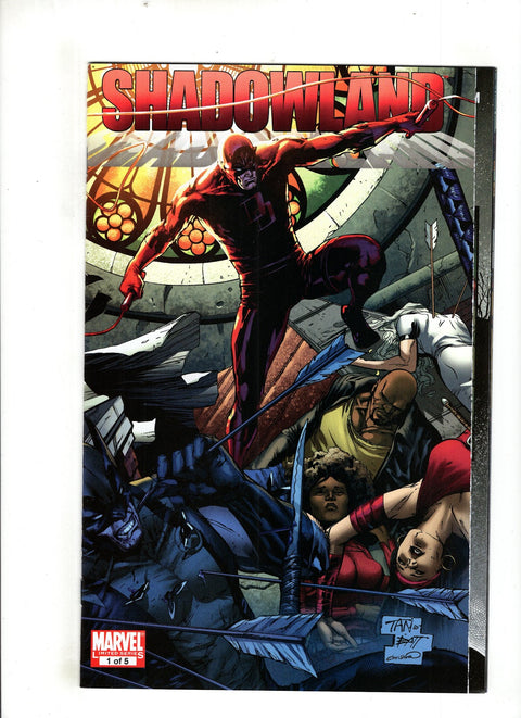 Shadowland #1 (Cvr B) (2010) Billy Tan Wraparound Variant