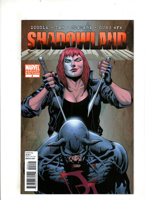 Shadowland #4 (Cvr B) (2010) Billy Tan Variant