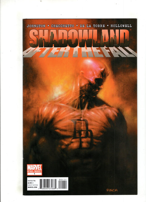Shadowland: After The Fall #1 (2010) One Shot