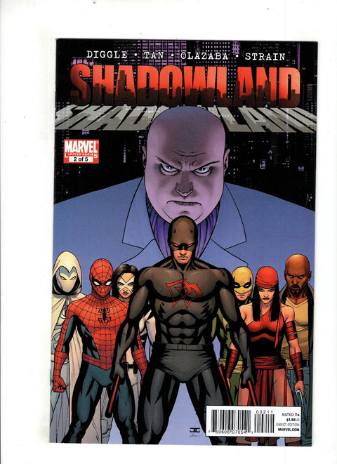 Shadowland #2 (Cvr A) (2010) John Cassaday