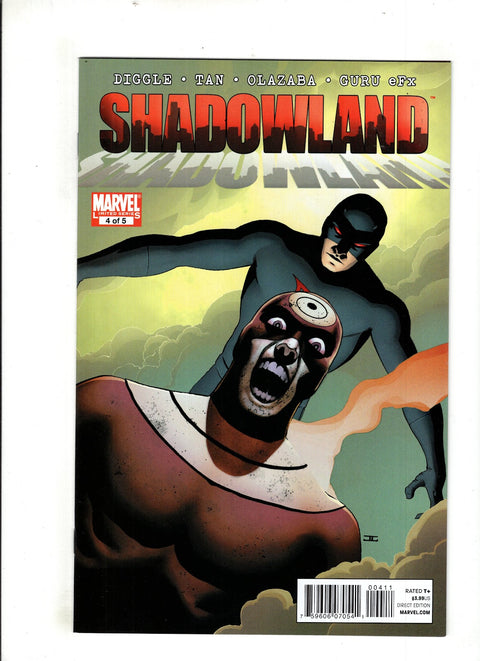 Shadowland #4 (Cvr A) (2010) John Cassaday