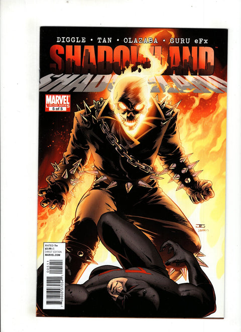 Shadowland #5 (Cvr A) (2010) John Cassaday