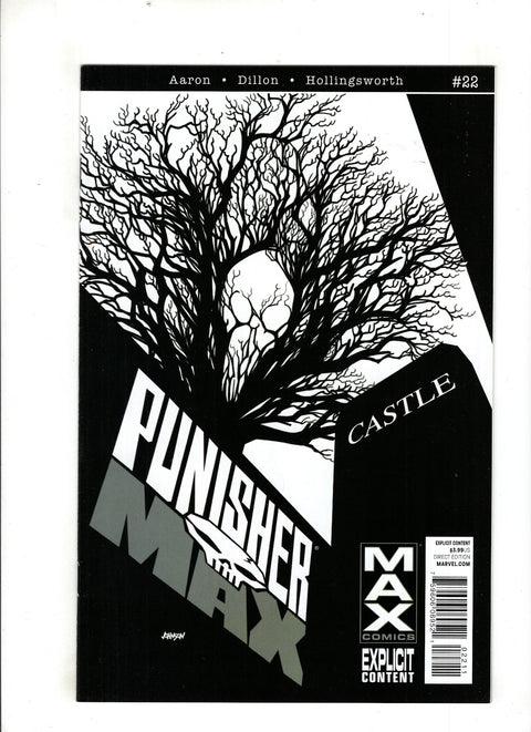 Punisher MAX #22 (2012)