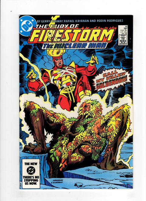 Firestorm, the Nuclear Man, Vol. 2 (1982-1990) #19 (1984) Buy & Sell Comics Online Comic Shop Toronto Canada