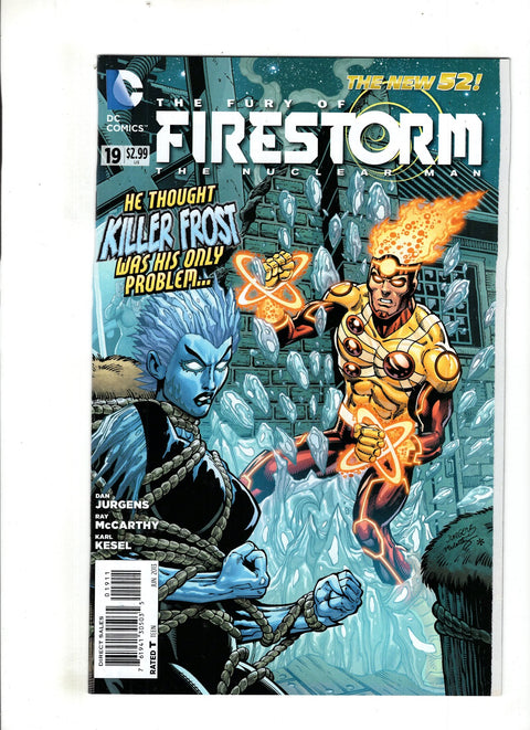 Fury of Firestorm: The Nuclear Men #19 (2013) Buy & Sell Comics Online Comic Shop Toronto Canada
