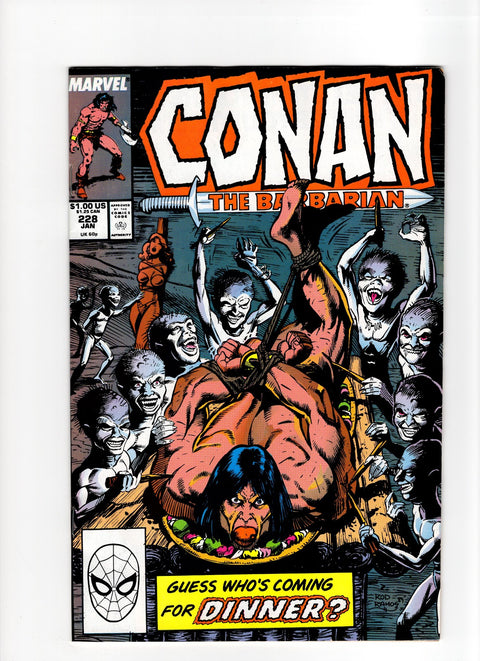Conan the Barbarian, Vol. 1 #228 (1990) Buy & Sell Comics Online Comic Shop Toronto Canada