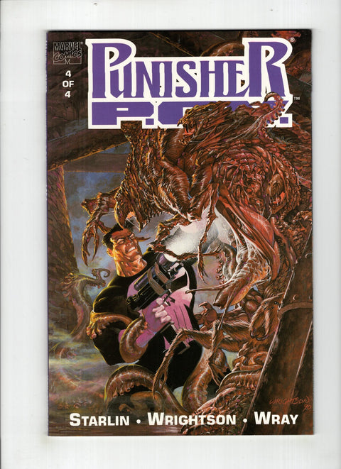 Punisher P.O.V. #4 (1991)