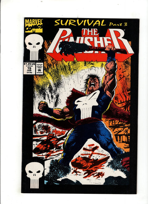 The Punisher, Vol. 2 #79 (1993)
