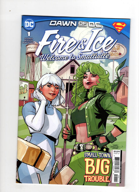 Fire & Ice: Welcome To Smallville #1 (Cvr A) (2023) Terry Dodson A Terry Dodson Buy & Sell Comics Online Comic Shop Toronto Canada