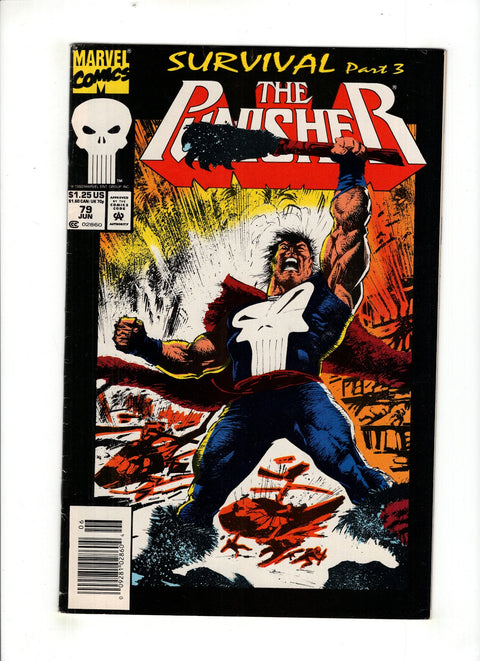 The Punisher, Vol. 2 #79 (Cvr B) (1993) Newsstand Edition