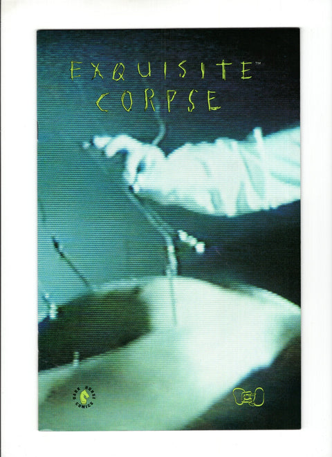 Exquisite Corpse #1 (Cvr A) (1990) Green Issue A Green Issue Buy & Sell Comics Online Comic Shop Toronto Canada