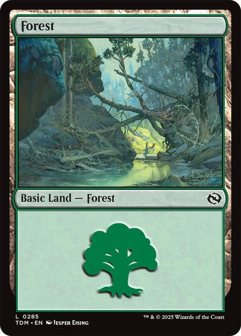 MTG | Forest | TDM | FOIL