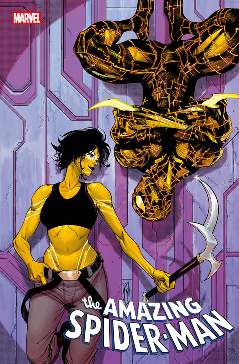 The Amazing Spider-Man, Vol. 7 17 Comic Variant Marvel Comics 2025