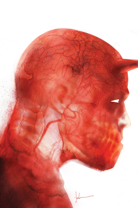 DAREDEVIL #6 JOCK VIRGIN VARIANT 1:100 Marvel Stephanie Phillips Flaviano Jock