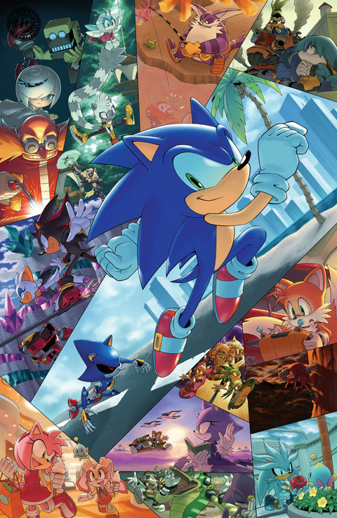 Sonic the Hedgehog #91 Variant RI (25) (Hammerstrom Full Art) 1:25 IDW Publishing Evan Stanley Adam Bryce Thomas Aaron Hammerstrom