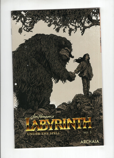 Jim Henson's Labyrinth: Under Spell #1 (Cvr B) (2018) Variant Richey Beckett Preorder Cover B Variant Richey Beckett Preorder Cover Buy & Sell Comics Online Comic Shop Toronto Canada