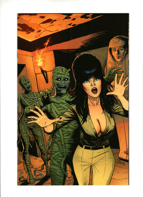 Elvira: Mistress Of The Dark (Dynamite Entertainment) #11 (Cvr E) (2020) Incentive Craig Cermak Virgin Cover E Incentive Craig Cermak Virgin Cover Buy & Sell Comics Online Comic Shop Toronto Canada