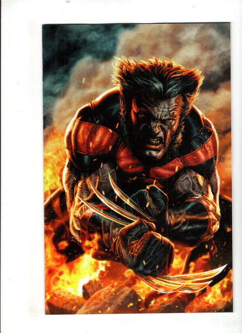 Ultimate Wolverine #1 (Cvr H) (2025) 1:100 Lee Bermejo Incentive