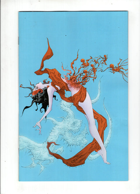 Hello Darkness #11 (Cvr E) (2025) 1:20 Jae Lee Incentive