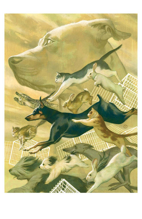 Animal Pound 3 Comic Unlockable Variant Boom! Studios 2024