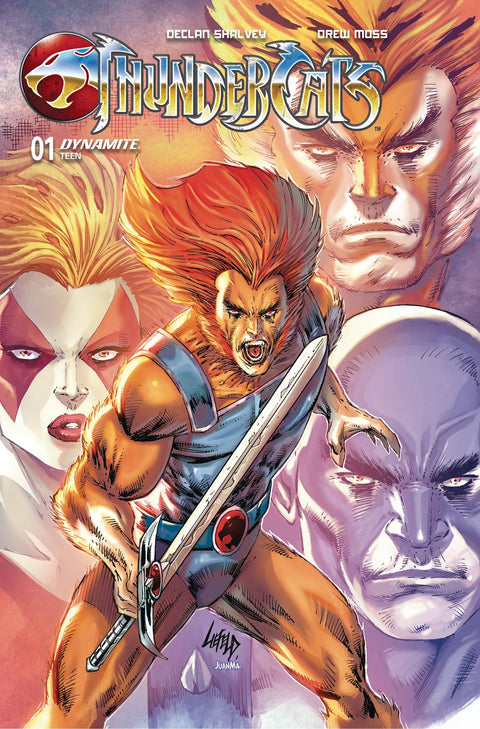 Thundercats (Dynamite Entertainment) #1ZC (2024) FOC Liiefeld Original