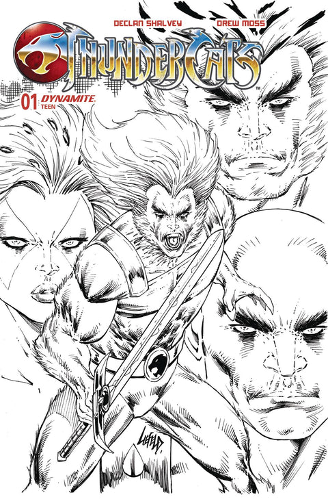 Thundercats (Dynamite Entertainment) #1ZG (2024) 1:10 FOC Liefeld Sketch