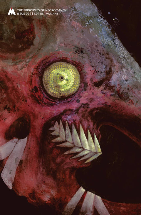 Principles of Necromancy 2 Comic Jana Heidersdorf Variant Magma Comix 2024