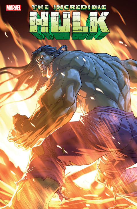 The Incredible Hulk, Vol. 4 19 Comic Pete Woods Variant Marvel Comics 2024