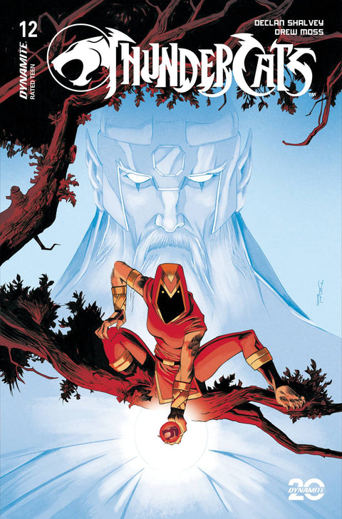Thundercats (Dynamite Entertainment) 12 Comic Declan Shalvey Variant Dynamite Entertainment 2025