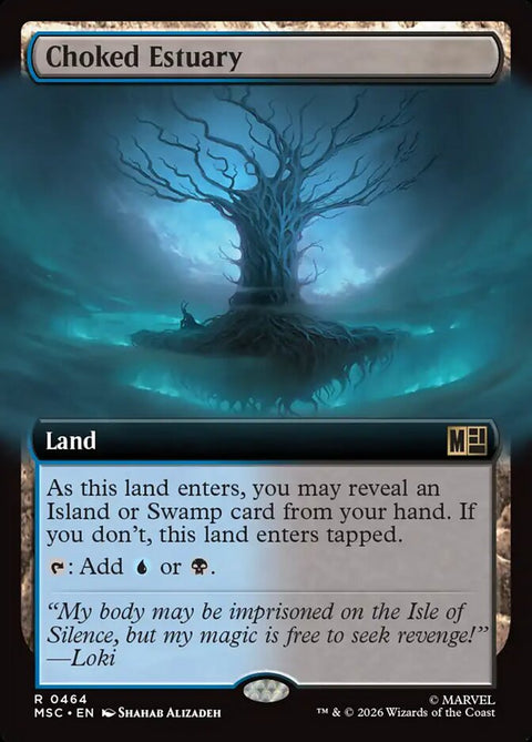 Choked Estuary