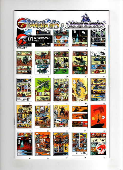 Thundercats X Silverhawks #1 (Cvr I) (2026) (1:10) Declan Shalvey Incentive Layouts Variant