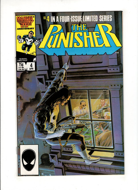 The Punisher, Vol. 1 #4A
