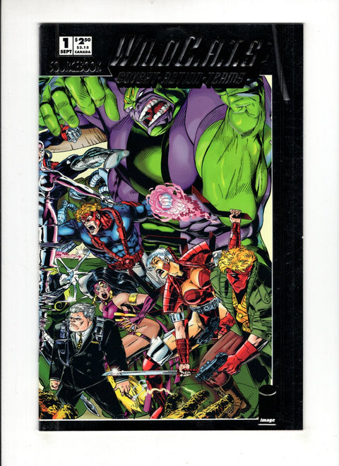 WildC.A.T.s: Sourcebook #1A