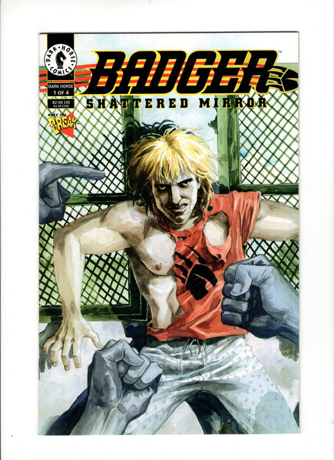 Badger: Shattered Mirror #1