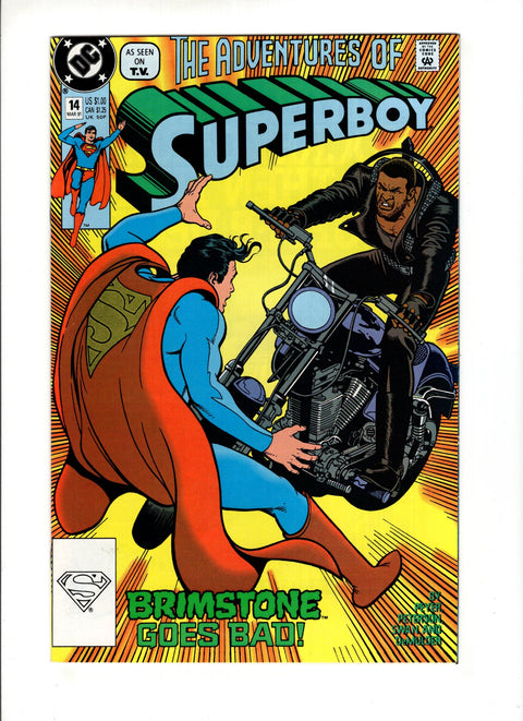 Superboy, Vol. 2 #14