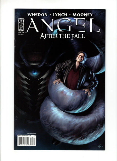 Angel: After the Fall #14A IDW Publishing 2008