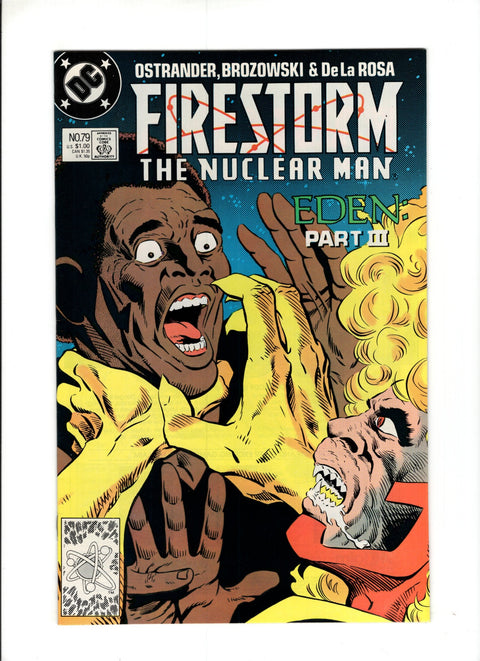 Firestorm, the Nuclear Man, Vol. 2 #79A (1989) DC Comics 1989
