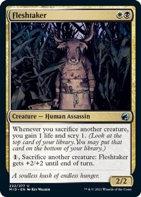 Fleshtaker | MID