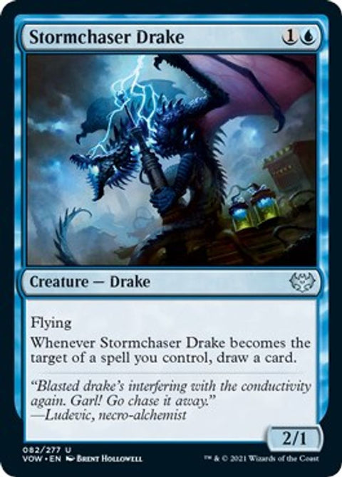 Stormchaser Drake | VOW